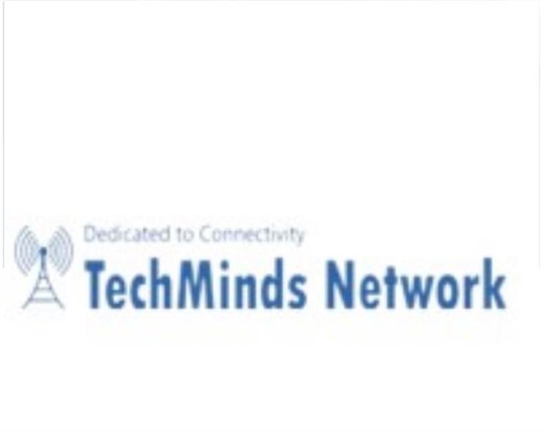 Techminds Network Ltd logo